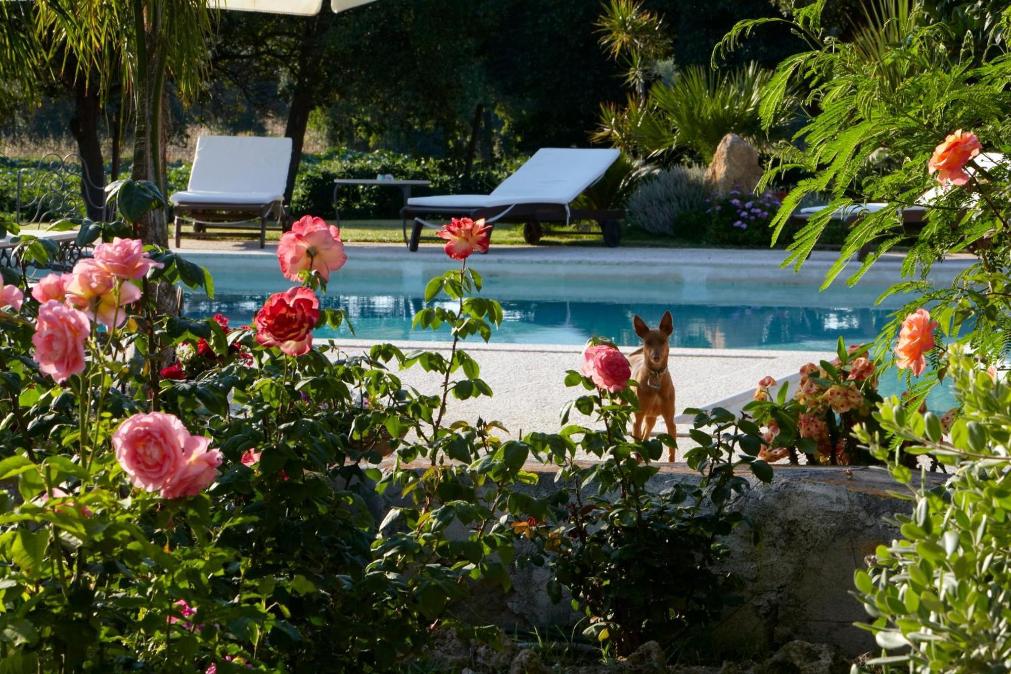 Bed and Breakfast Baglio Sant'Andrea Valderice Esterno foto